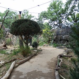 View of walk-through aviary
