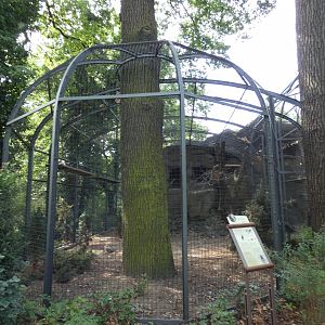 Southern Ground Hornbill aviary