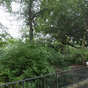 View of Wetland bird walk-through