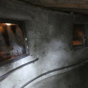 View of Eurasian Beaver dens