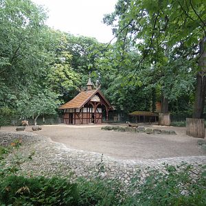 Persian Fallow Deer enclosure