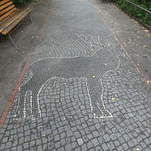 View of path by deer paddocks