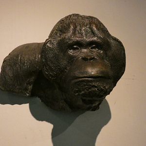 Orang-utan statue
