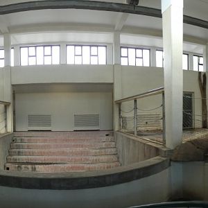 View of Elephant House