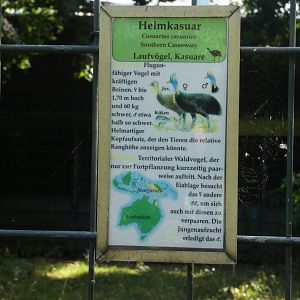 Southern Cassowary signage