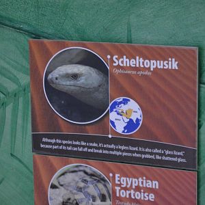 Sheltopusik signage
