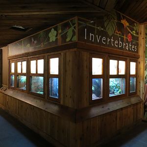 Tropics - Invertebrates Exhibits