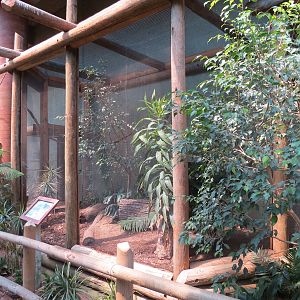 Tropics - Guam Rail Exhibit
