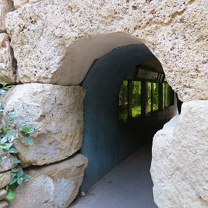 Tropics - Underwater Tunnel Entrance