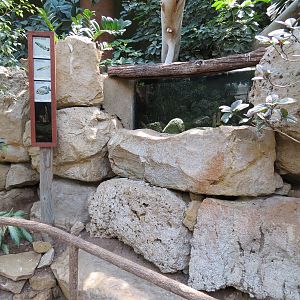 Tropics - Fish Exhibit