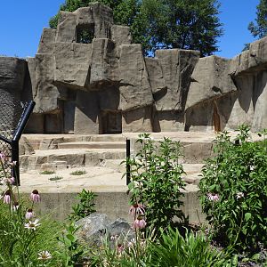 Kodiak Bear exhibit #2 (second half) - JP Adler Kodiak Bear Exhibit (New in 2015) - Wildwood Zoo