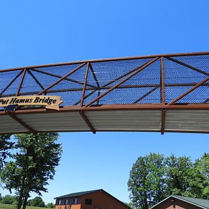 Floyd & Pat Hamus Bear Bridge - JP Adler Kodiak Bear Exhibit (New in 2015) - Wildwood Zoo
