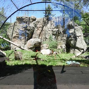 Wildcat Exhibit (does not contain Wildcats) outdoor area - Wildcat Exhibit - Wildwood Zoo