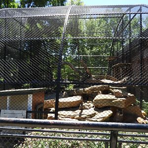 Mountain Lion exhibit - Wildwood Zoo