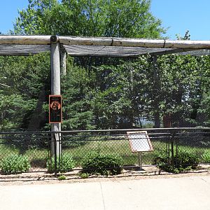 Bald Eagle/Rough-Legged Hawk exhibit - Wildwood Zoo