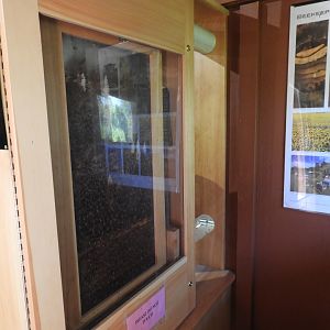 Honey bee hive (new in 2017) - Wildwood Zoo