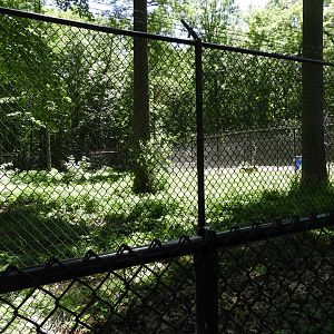Gray Wolf exhibit (first fourth) - Wildwood Zoo
