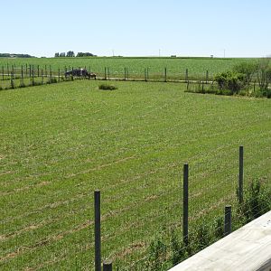 American Elk exhibit #1 (first fourth) - Zoo Drive - Wildwood Zoo