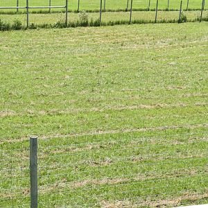 American Elk exhibit #1 (second fourth) - Zoo Drive - Wildwood Zoo