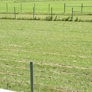 American Elk exhibit (third fourth) - Zoo Drive - Wildwood Zoo