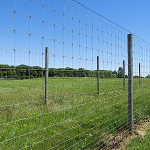 White-Tailed Deer exhibit #1 - Zoo Drive - Wildwood Zoo