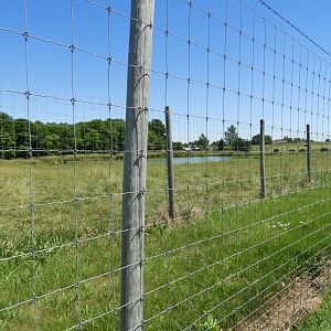American Bison exhibit #1 - Zoo Drive - Wildwood Zoo