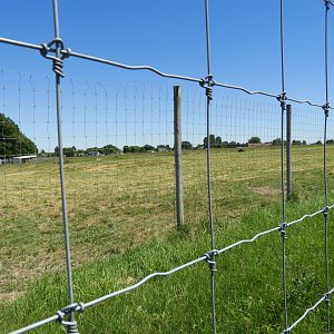 American Bison exhibit #2 - Zoo Drive - Wildwood Zoo