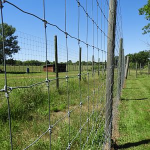 American Elk exhibit #2 (first half) - Zoo Drive - Wildwood Zoo