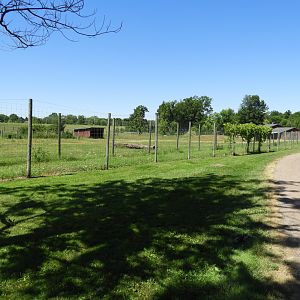 American Elk exhibit #2 (second half) - Zoo Drive - Wildwood Zoo