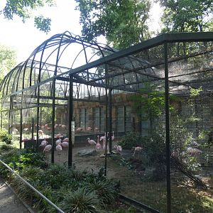 Flamingo Aviary