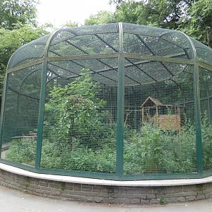 Racoon Enclosure