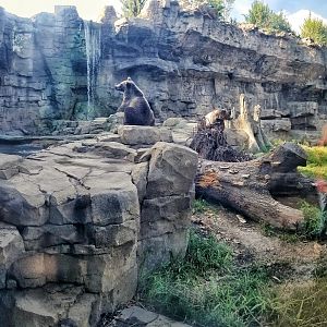 Jul. 2018 - Grizzly Ridge Panorama