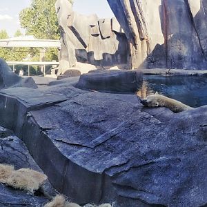 Jul. 2018 - Polar Bear Point