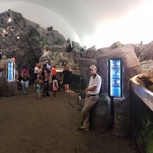 Jul. 2018 - Penguin & Puffin Coast (Penguin Cove Panorama)