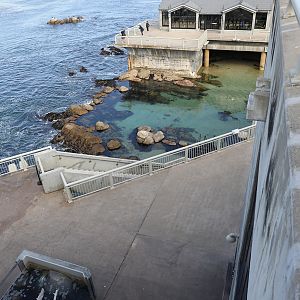 view from upper deck