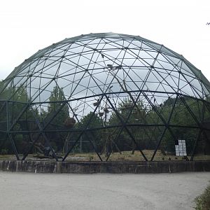 Stork Aviary