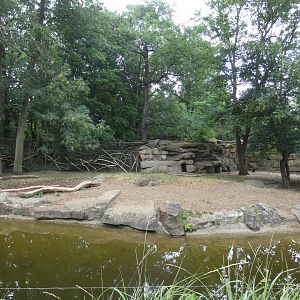 Arabian Striped Hyena enclosure