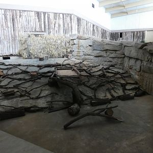 Marabou Stork Winter Indoor Area (Pachyderm House)