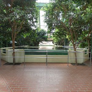 Upper West Indian Manatee Viewing Area