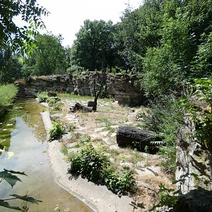 Bat-eared Fox enclosure