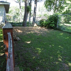 African Spurred Tortoise exhibit (first half) + renovations - Children's Petting Zoo - Wisconsin Rapids Municipal Zoo