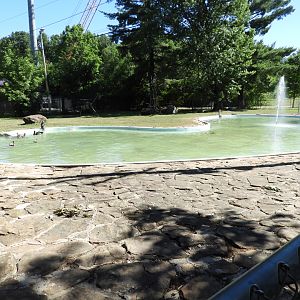 Duck Pond - Wisconsin Rapids Municipal Zoo