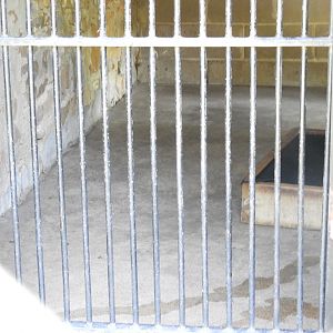 South American Coati indoor exhibit - Wisconsin Rapids Municipal Zoo