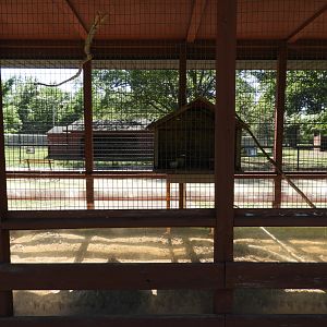 Yellow-Headed Amazon/Yellow-Crowned Amazon exhibit - Wisconsin Rapids Municipal Zoo