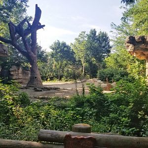 Jul. 2018 - River's Edge - Elephant Springs (Fourth Asian Elephant Exhibit)