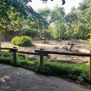 Jul. 2018 - River's Edge - Third Elephant Exhibit