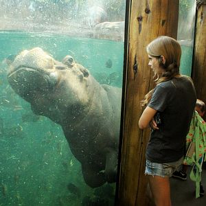 Jul. 2018 - River's Edge - Hippo Harbor