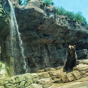 Jul. 2018 - Grizzly Ridge