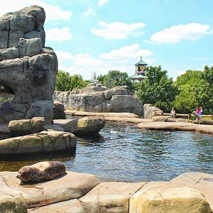 Jul. 2018 - Sea Lion Sound