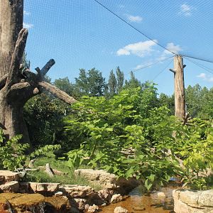 Jul. 2018 - River's Edge - Sun Bear Forest
